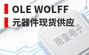 Ole Wolff��LOGO